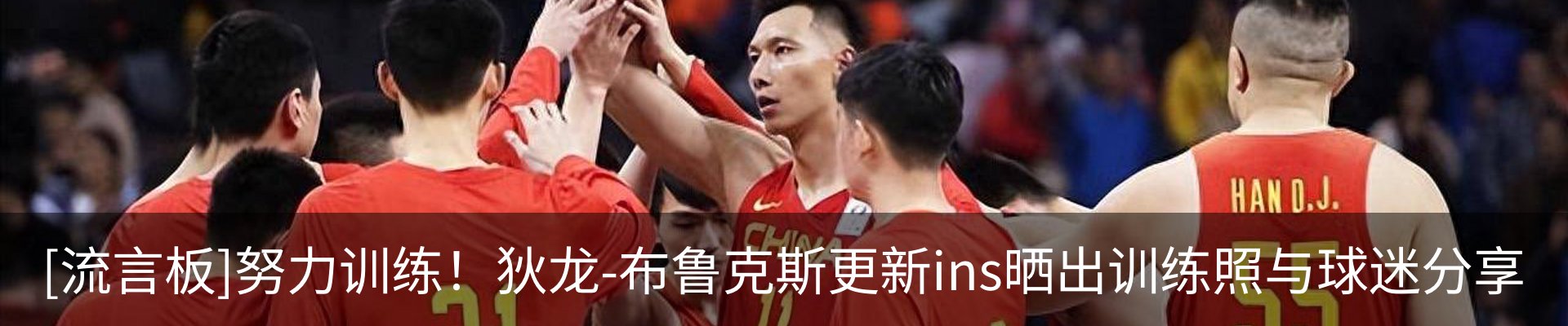 新闻动态